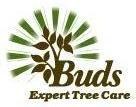 Logo for Buds Expert Tree Care Inc