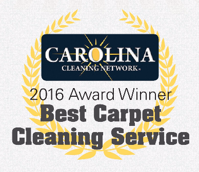 CAROLINA CLEANING NETWORK logo
