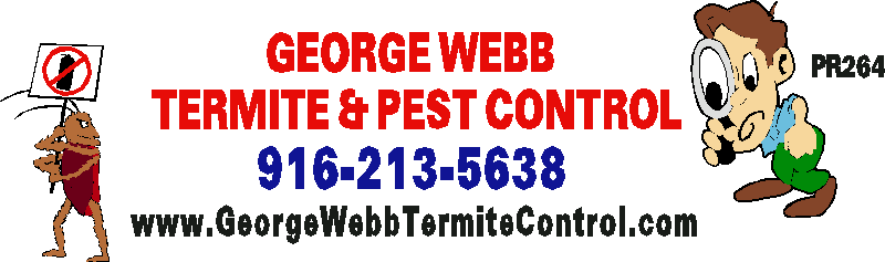 GEORGE WEBB TERMITE CONTROL logo