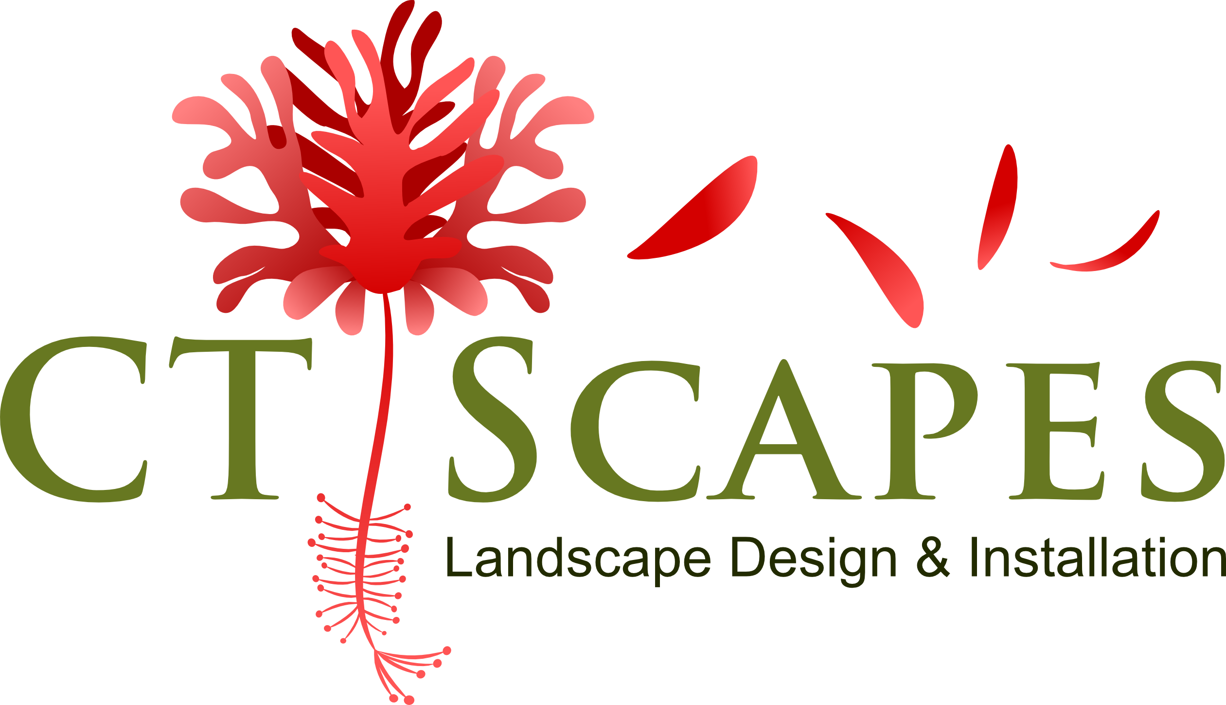Logo for CT Scapes