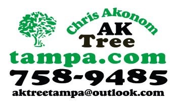 Logo for AK Tree Service
