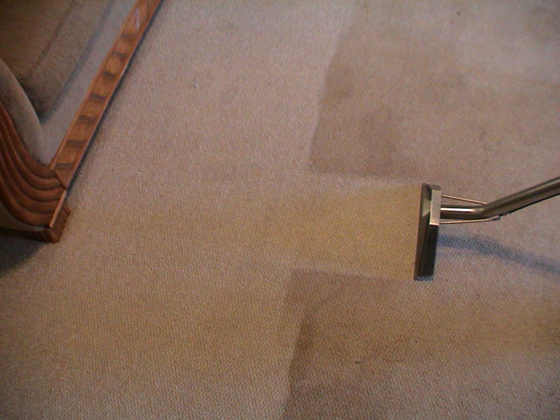 Logo for MDS Carpet &Tile Cleaning Inc