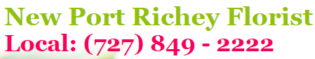 NEW PORT RICHEY FLORIST logo