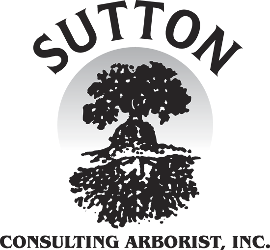 SUTTON CONSULTING ARBORIST INC logo