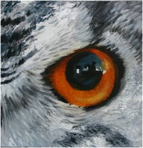 Avatar for Superior Sight Renovation and Remodeling