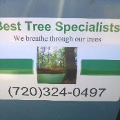 Logo for Best Tree Specialists