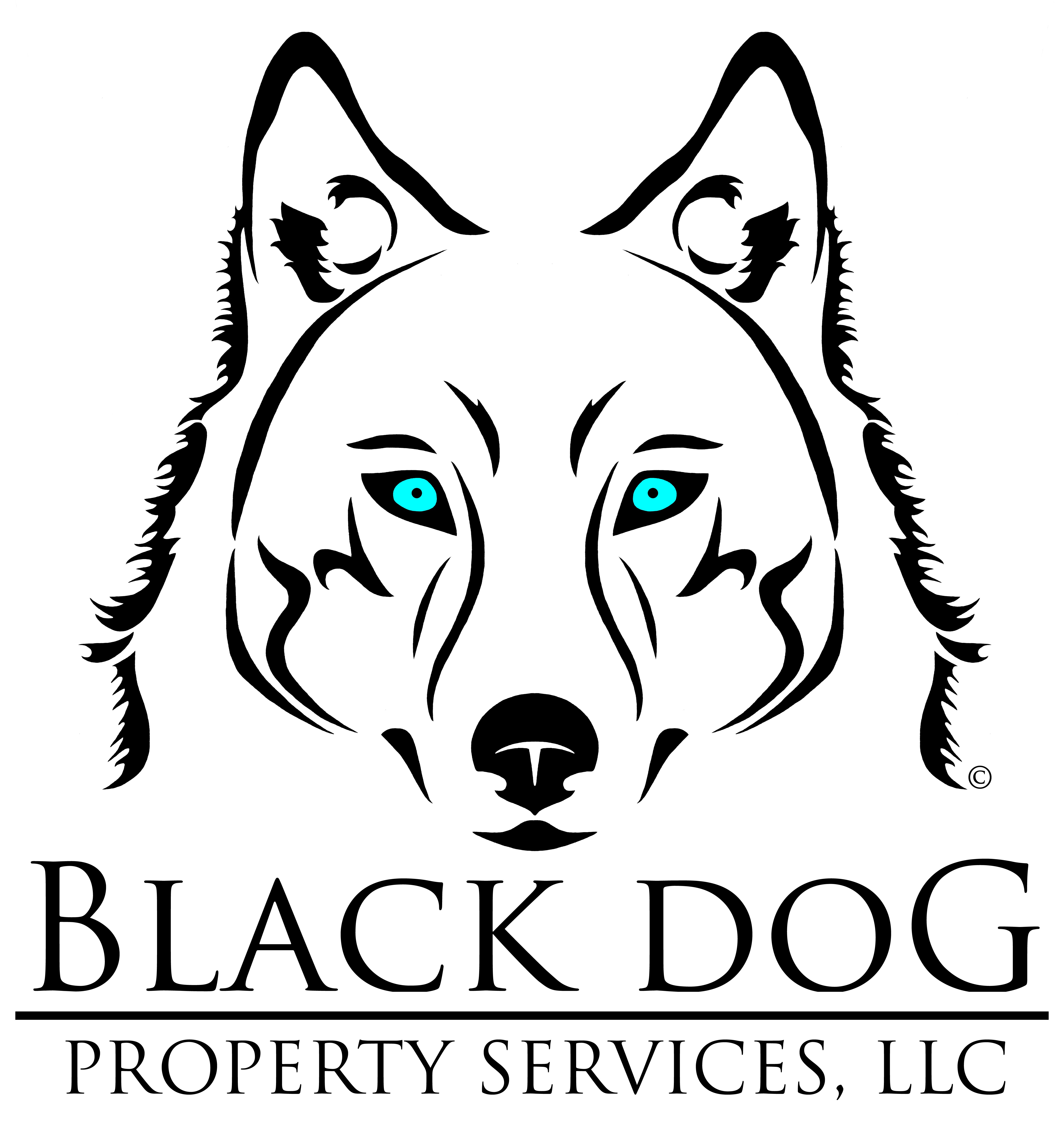 Black Dog Property Services, LLC logo