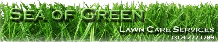 Logo for Sea of Green Lawn Care Service