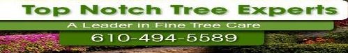 TOP NOTCH TREE EXPERTS logo