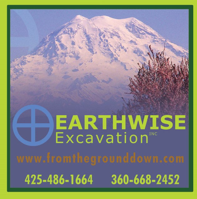 EARTHWISE EXCAVATION logo