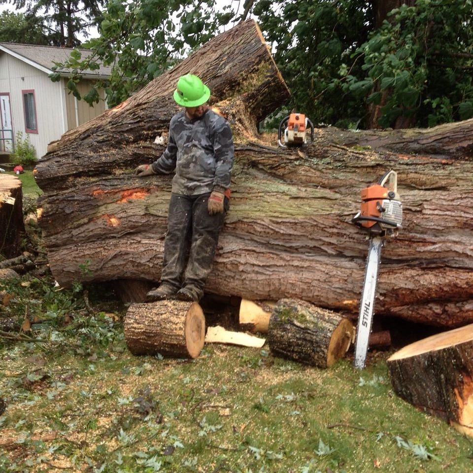 SOUTH-END TREE SERVICE logo