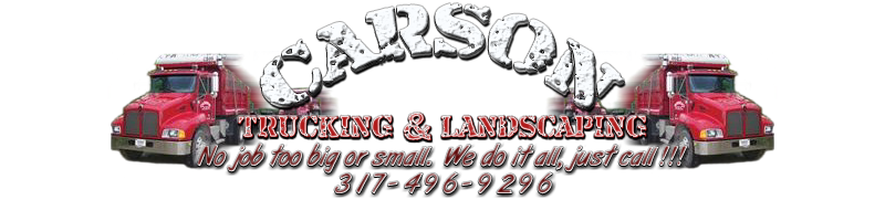CARSON TRUCKING logo