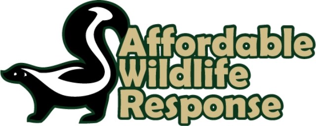 AFFORDABLE WILDLIFE RESPONSE logo