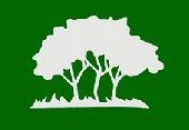 Logo for Big Timber Tree Service