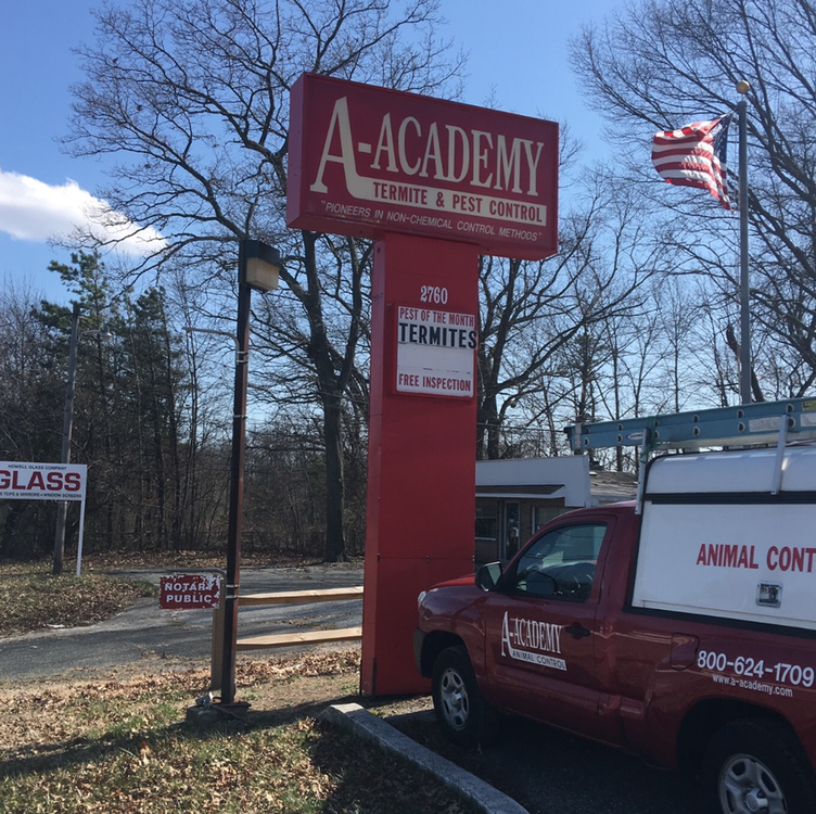 A-Academy Termite & Pest Control logo