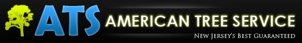 Logo for American Tree Service