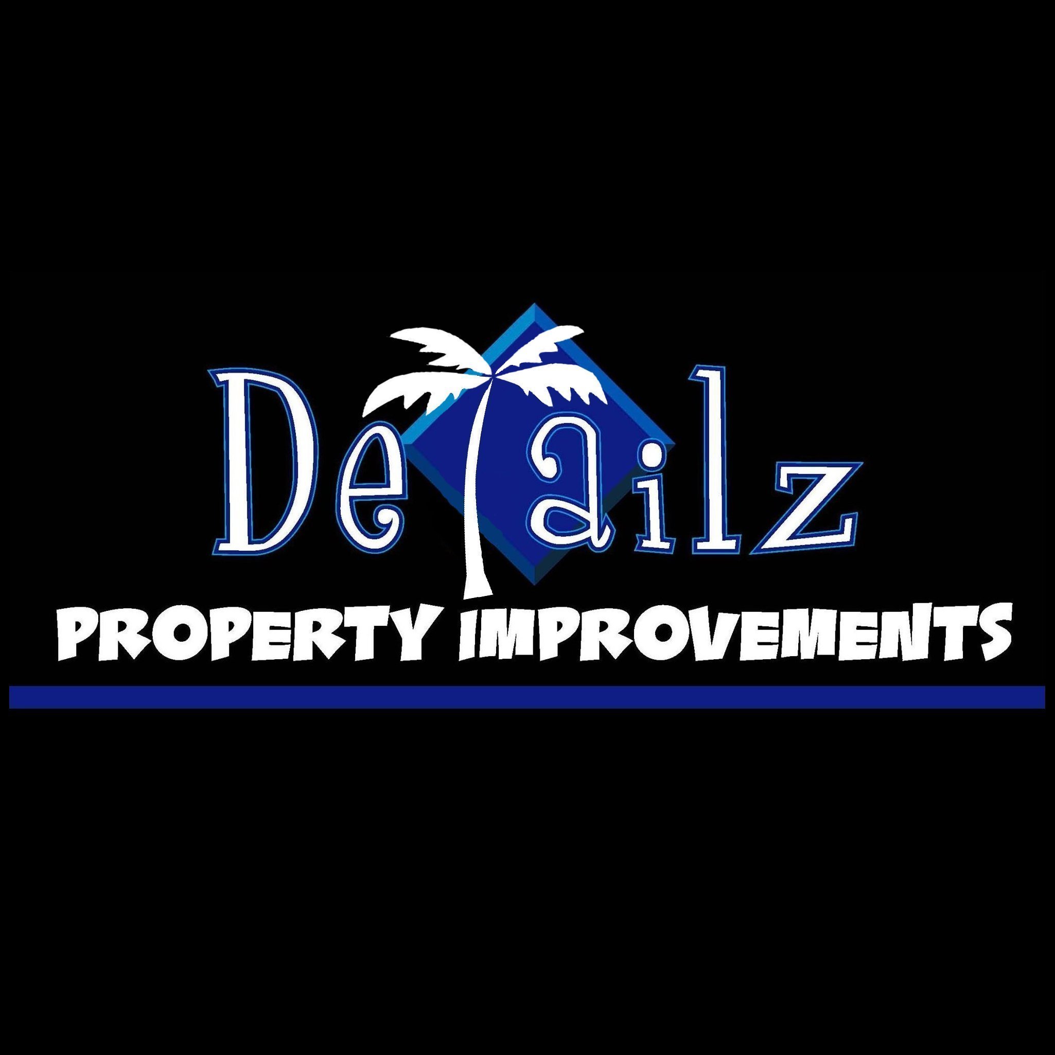 Avatar for DETAILZ PROPERTY IMPROVEMENTS