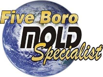 Five Boro Mold Specialist logo