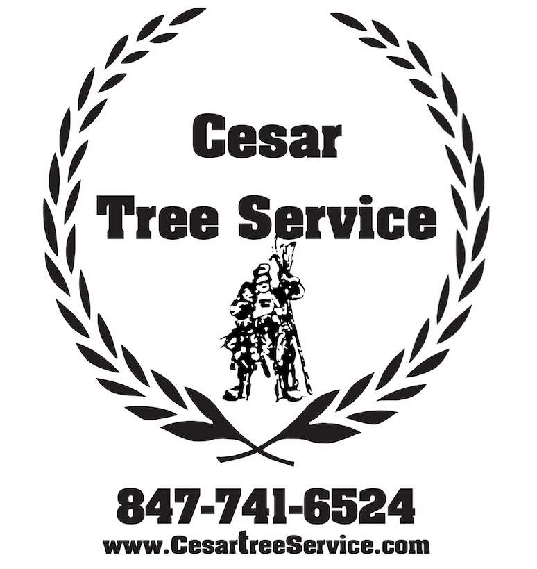Cesar Lawn and Tree Service, Inc. logo
