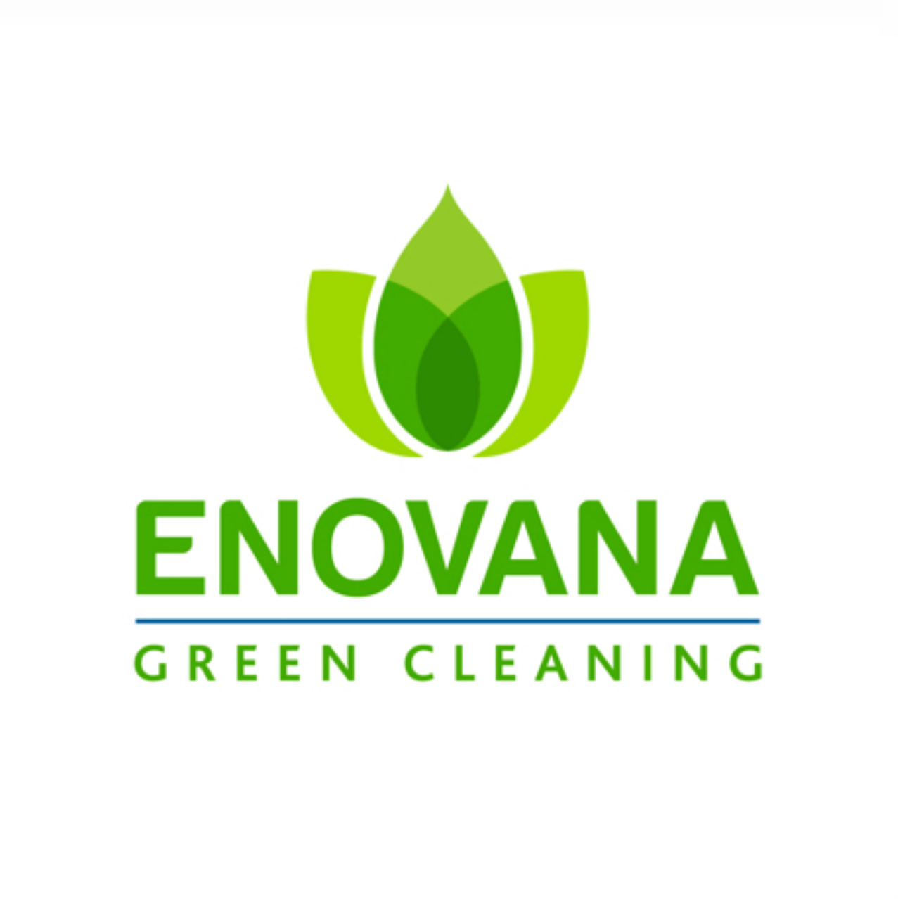 Green Cleaning logo