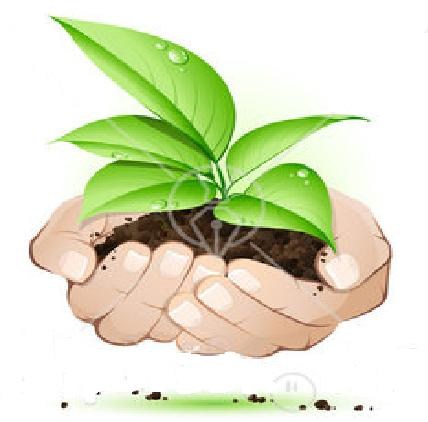 Logo for D&Ds Lawn Services