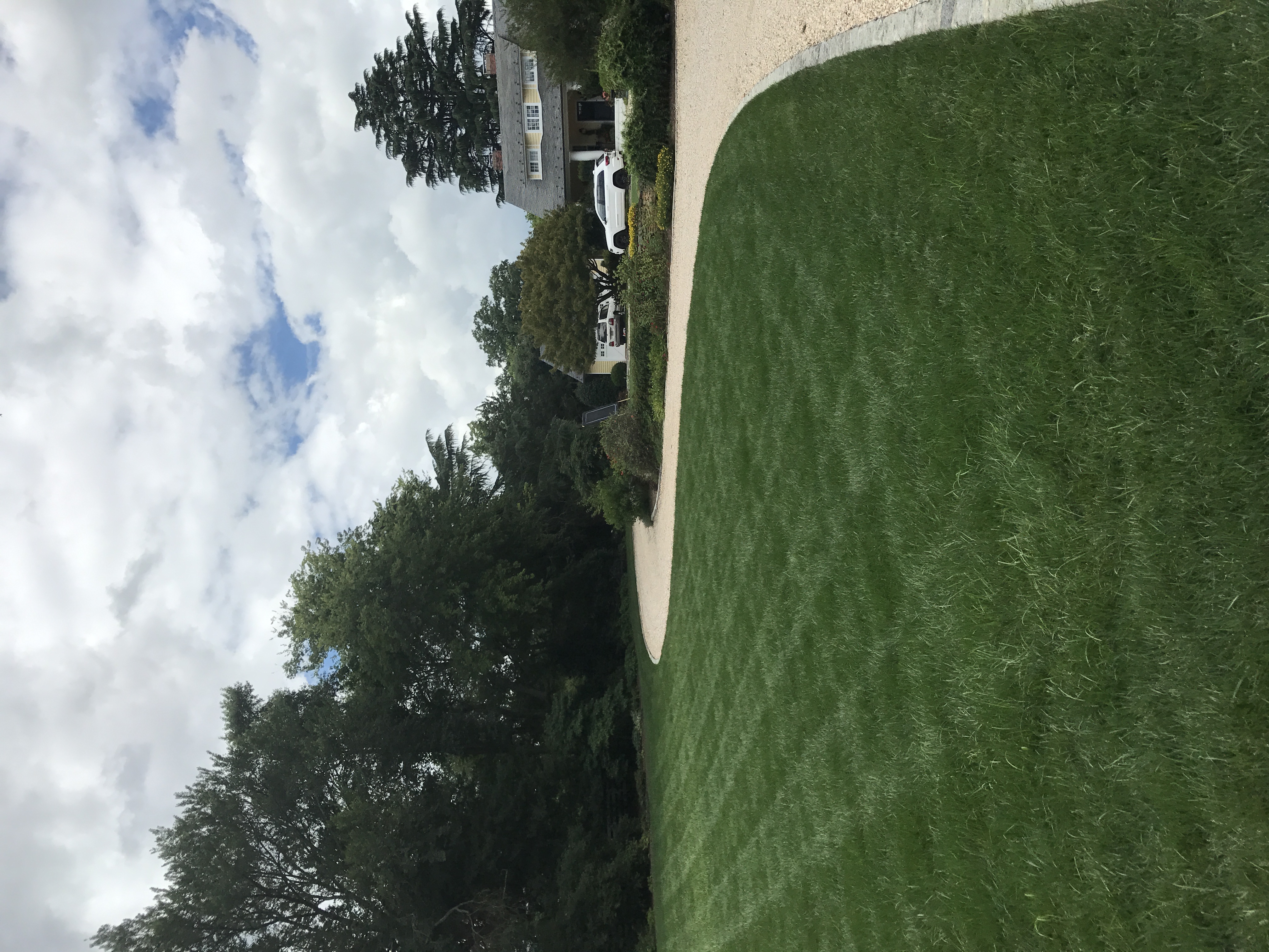 LAWN BOY LTD logo