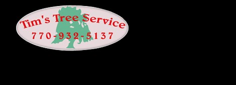 TIM'S TREE SVC logo