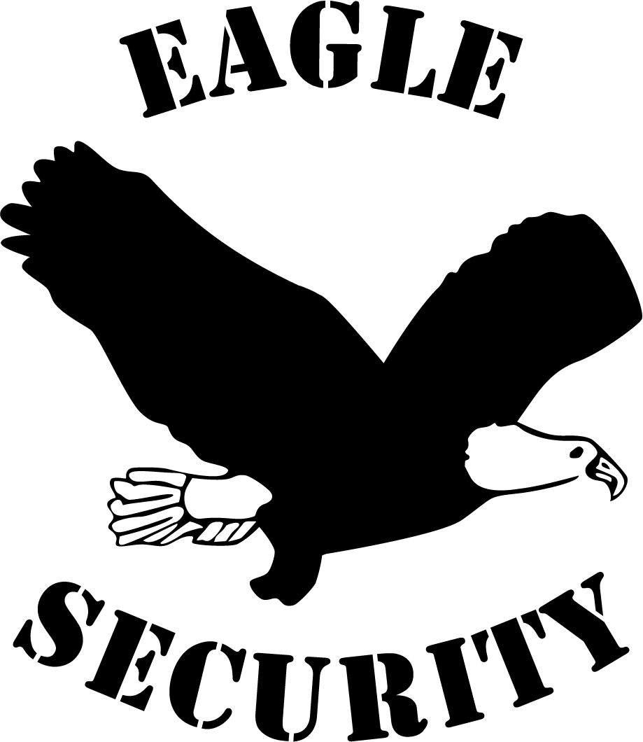 Tech Team Solutions logo