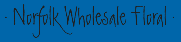 NORFOLK WHOLESALE FLORAL CORP logo