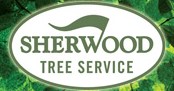 Sherwood Tree logo