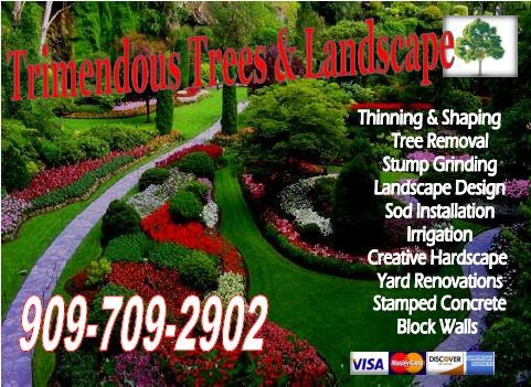 Trimendous Trees & Landscape Services logo