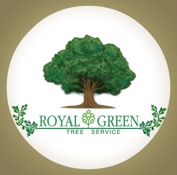 Logo for Royal Green Tree Service