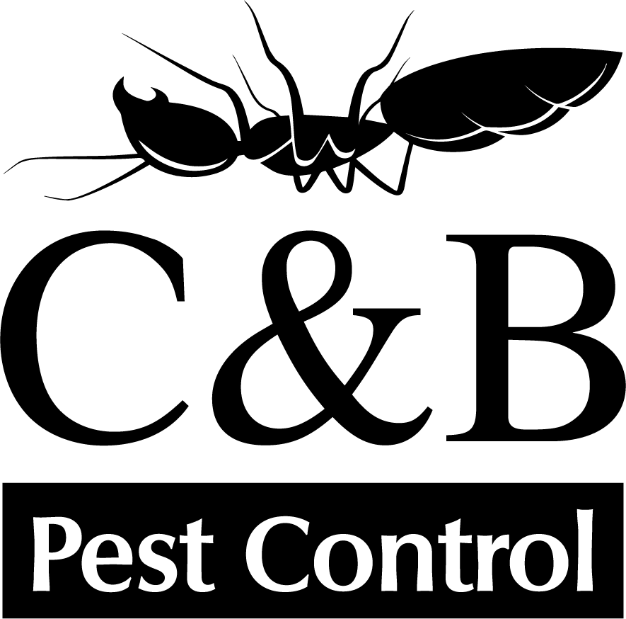 Avatar for C & B PEST CONTROL