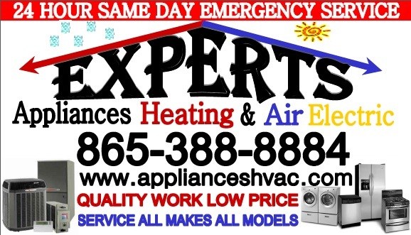 Expert Services logo