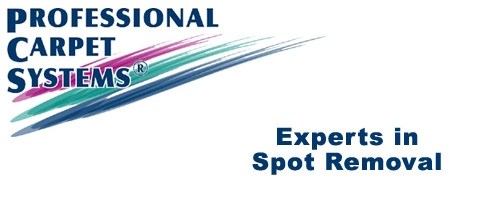 Logo for PROFESSIONAL CARPET SYSTEMS