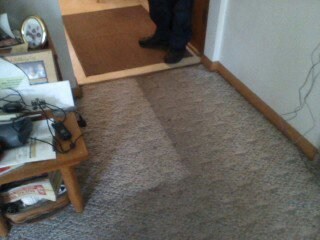 Logo for Clean Sweep Carpet Cleaning