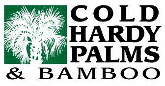 Cold Hardy Palms & Bamboo logo