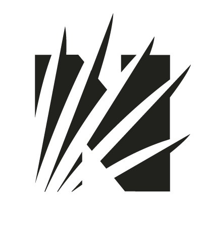 NATIVE LANDSCAPES INC logo