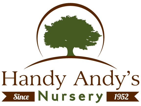 HANDY ANDY'S & ACE SPRINKLERS logo