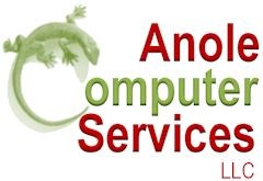 ANOLE COMPUTER SVC LLC logo