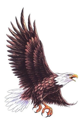 Avatar for Freedom Blasting