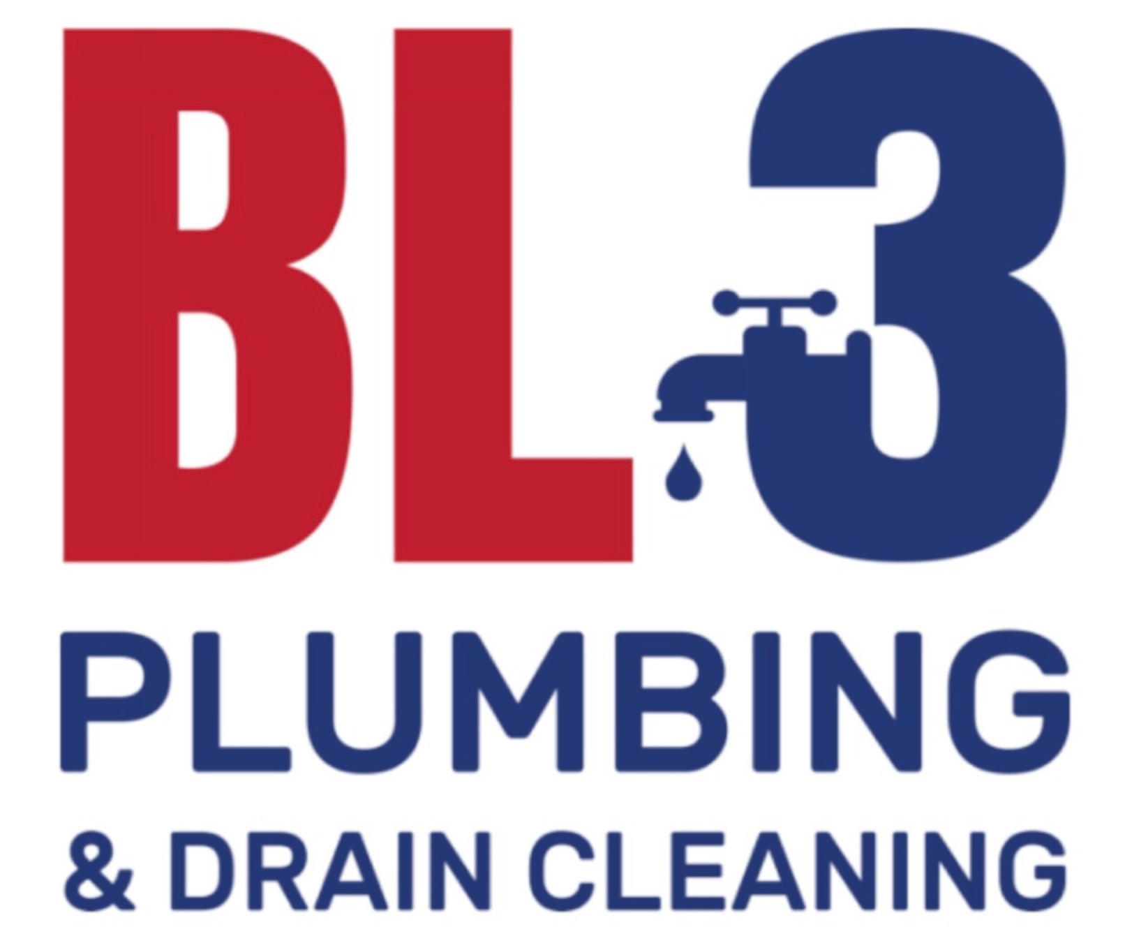 BL3 Inc logo