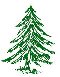 Logo for The Pine Box Agency