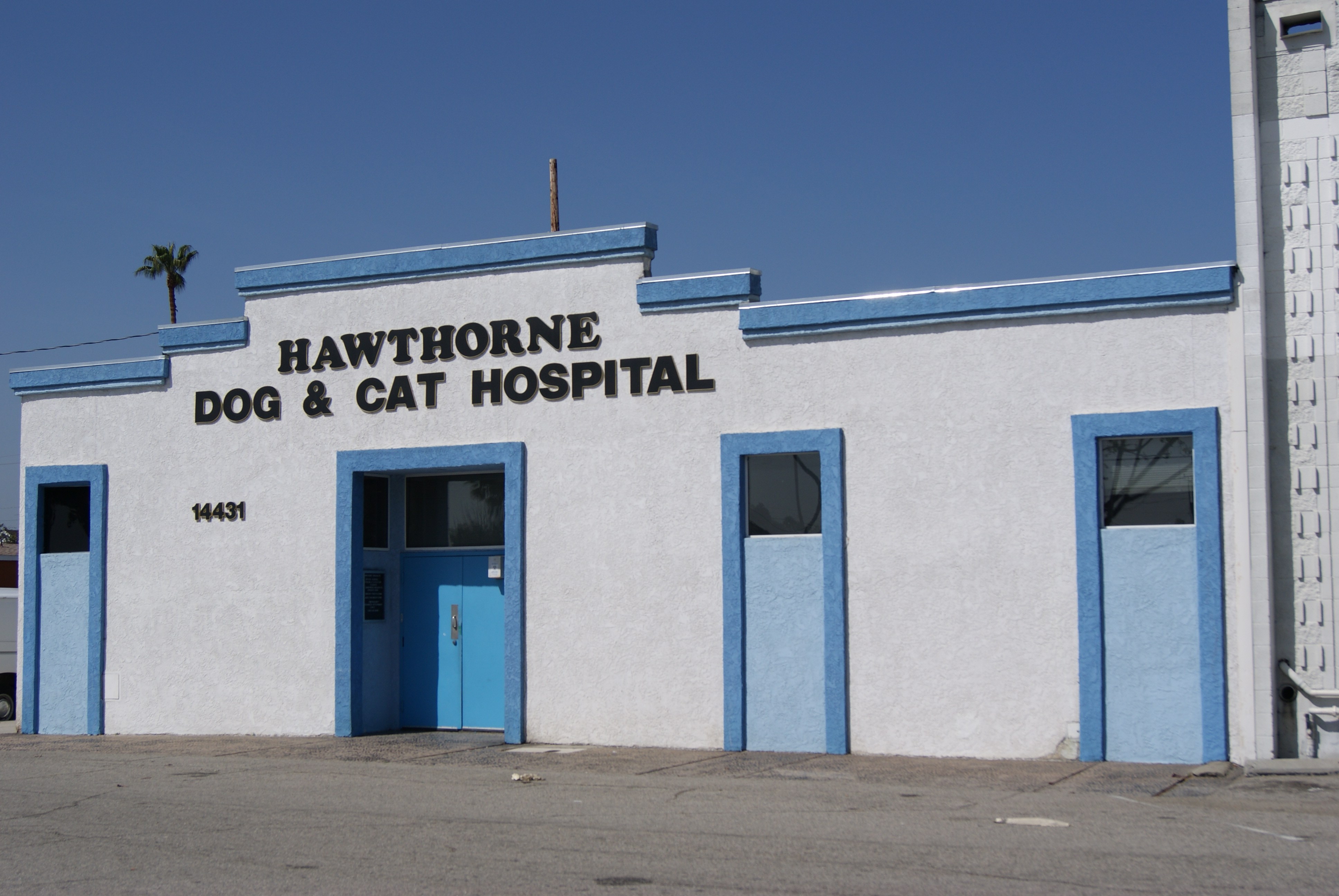 Hawthorne Dog & Cat Hospital logo