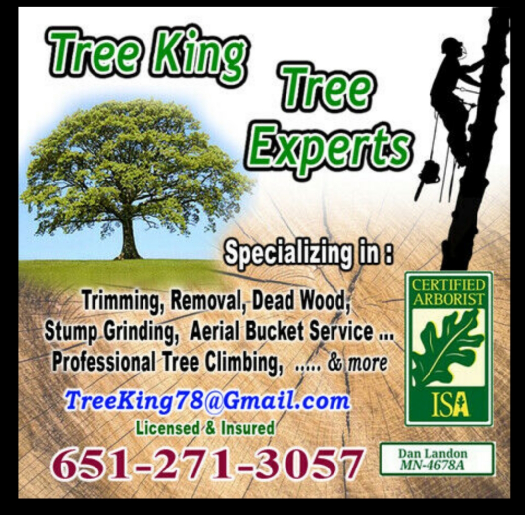 Logo for Tree King Tree Experts