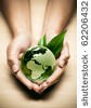 Allergan-X Green Carpet and Upholstery Cleaning logo