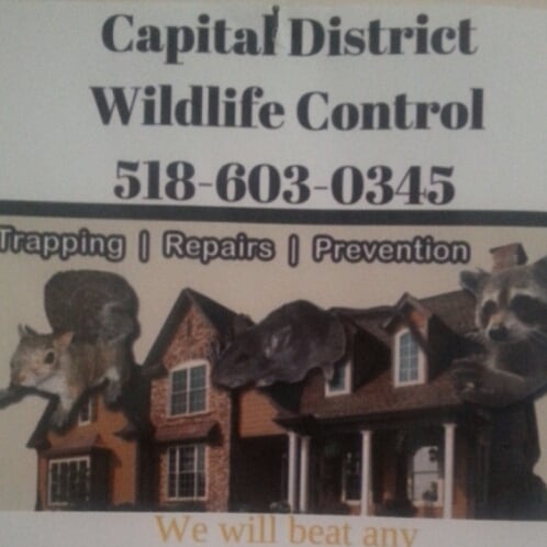 Avatar for Capital District Wildlife Control