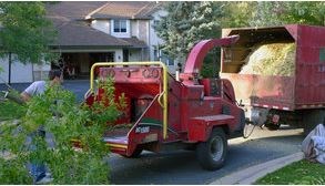 Stumpf's Tree Service logo