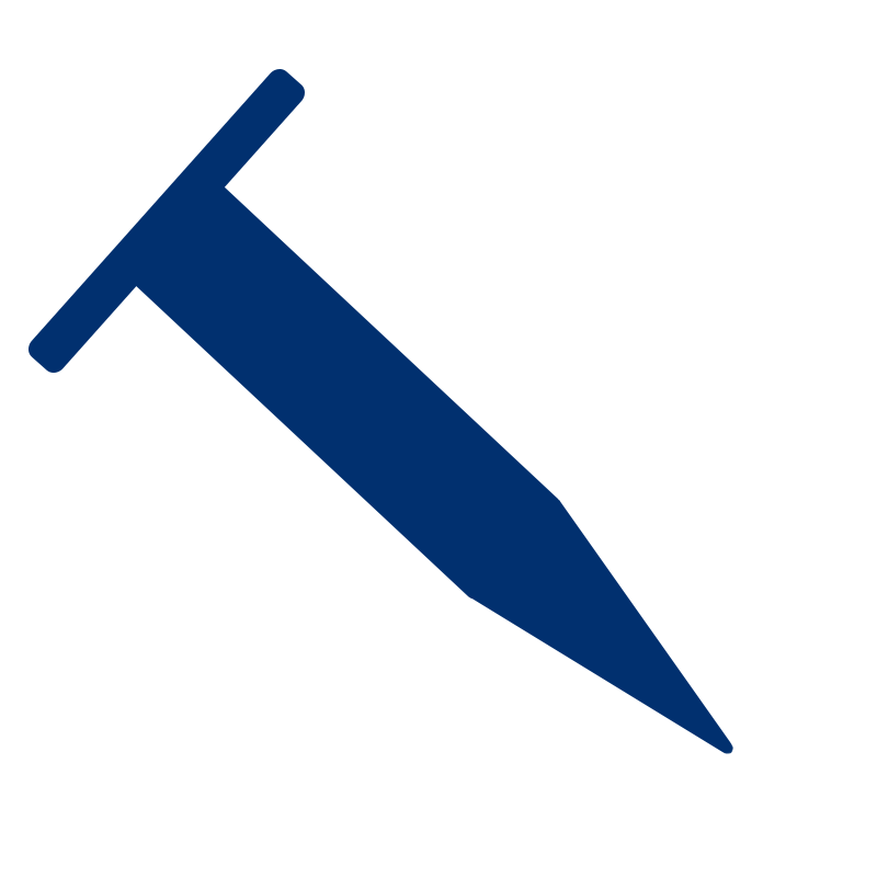 Blue Nail Enterprises LLC logo