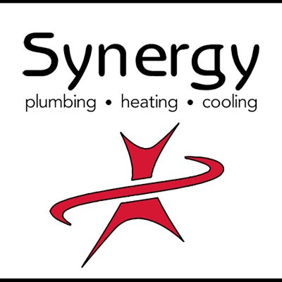 Synergy Services logo